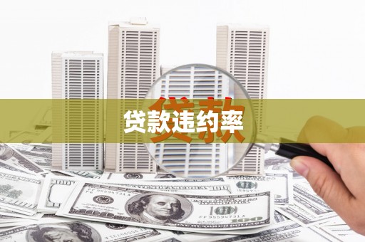 刚察贷款违约率