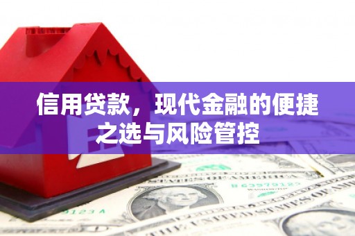 刚察信用贷款，现代金融的便捷之选与风险管控