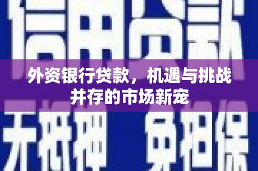 刚察外资银行贷款，机遇与挑战并存的市场新宠