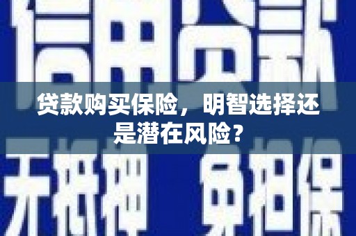 刚察贷款购买保险，明智选择还是潜在风险？