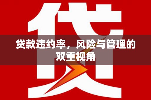 刚察贷款违约率，风险与管理的双重视角