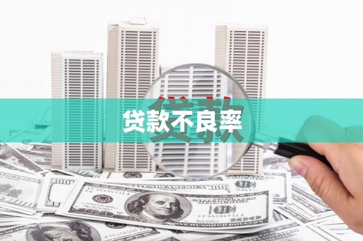 刚察贷款不良率