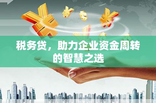 刚察税务贷，助力企业资金周转的智慧之选