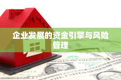 刚察企业发展的资金引擎与风险管理