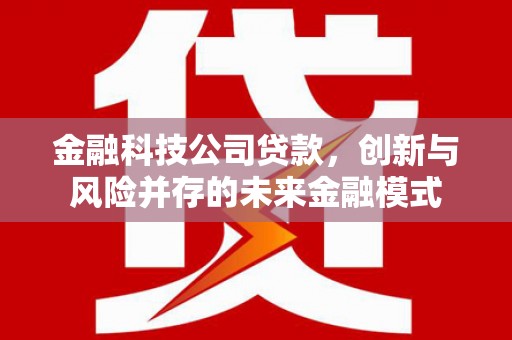 刚察金融科技公司贷款，创新与风险并存的未来金融模式