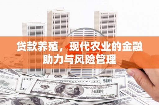 刚察贷款养殖，现代农业的金融助力与风险管理