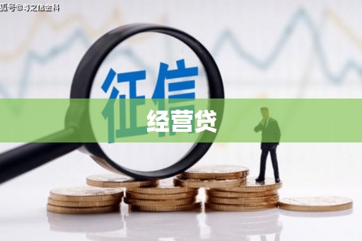 刚察经营贷