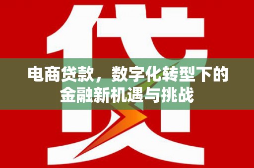 刚察电商贷款，数字化转型下的金融新机遇与挑战