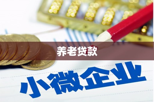 刚察养老贷款