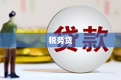 刚察税务贷