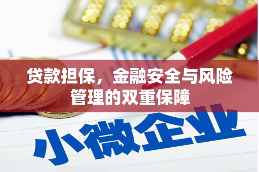 刚察贷款担保，金融安全与风险管理的双重保障
