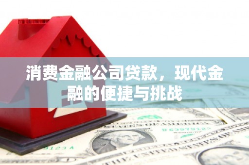 刚察消费金融公司贷款，现代金融的便捷与挑战