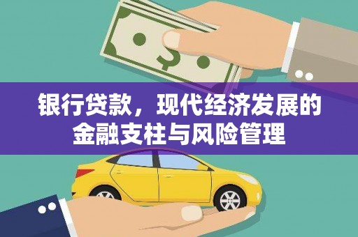 刚察银行贷款，现代经济发展的金融支柱与风险管理