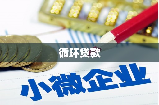 刚察循环贷款