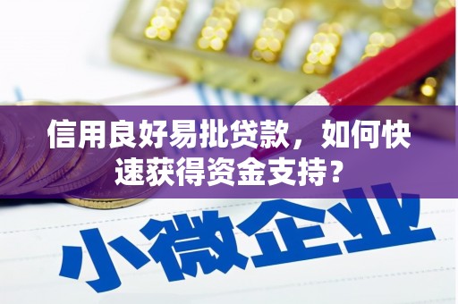 刚察信用良好易批贷款，如何快速获得资金支持？