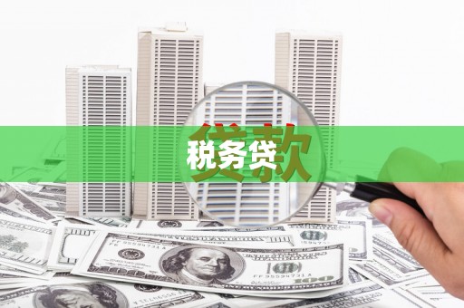 刚察税务贷