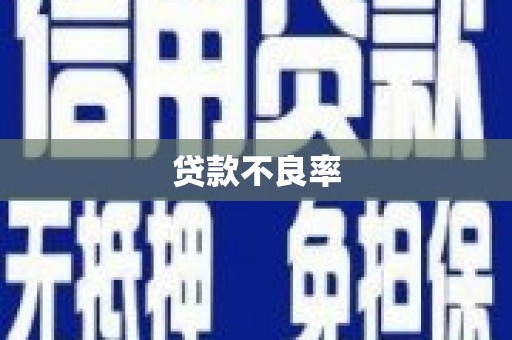 刚察贷款不良率