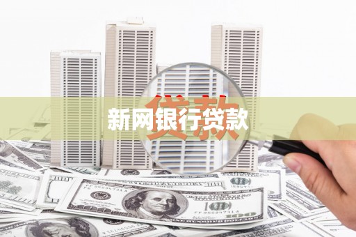 刚察新网银行贷款
