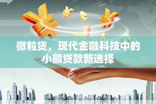 刚察微粒贷，现代金融科技中的小额贷款新选择