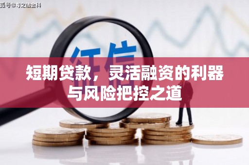 刚察短期贷款，灵活融资的利器与风险把控之道