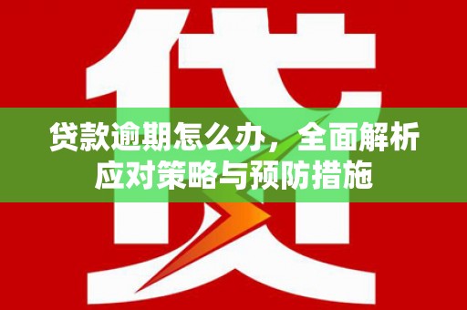 刚察贷款逾期怎么办，全面解析应对策略与预防措施