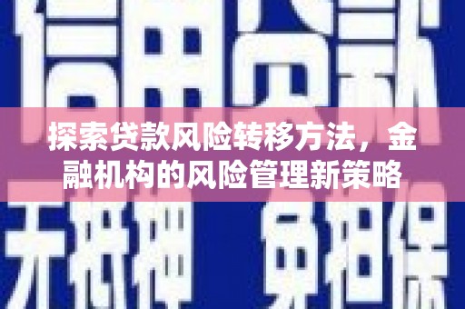 刚察探索贷款风险转移方法，金融机构的风险管理新策略