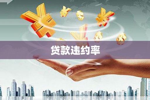 刚察贷款违约率