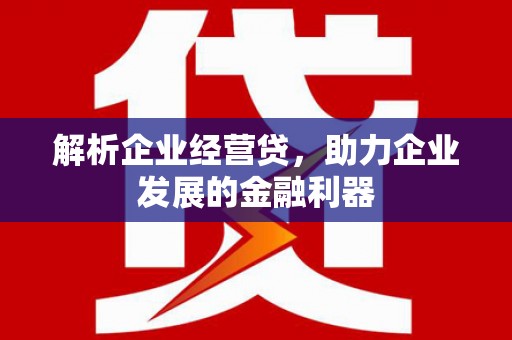 刚察解析企业经营贷，助力企业发展的金融利器