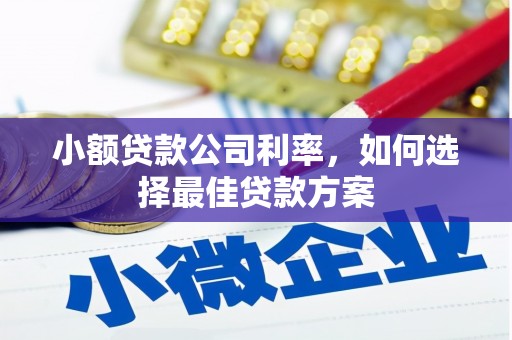 刚察小额贷款公司利率，如何选择最佳贷款方案
