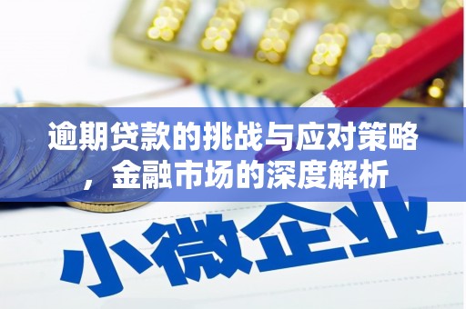 刚察逾期贷款的挑战与应对策略，金融市场的深度解析