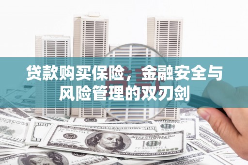 刚察贷款购买保险，金融安全与风险管理的双刃剑