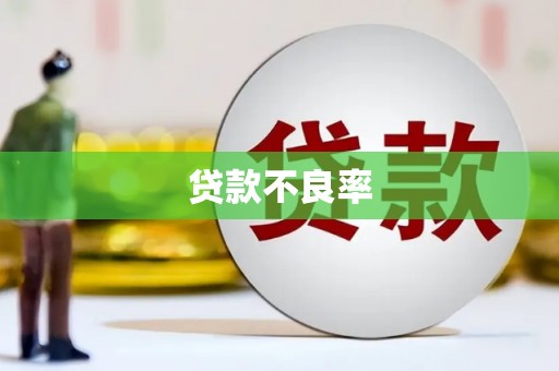 刚察贷款不良率