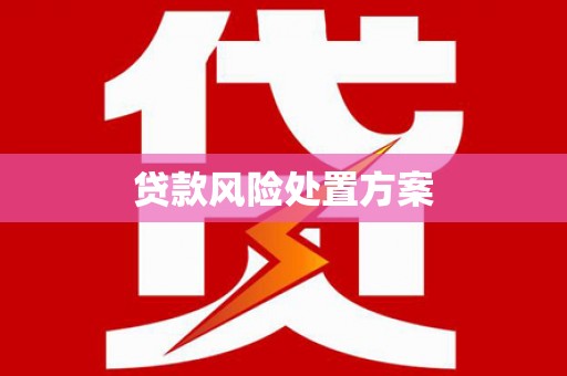 刚察贷款风险处置方案