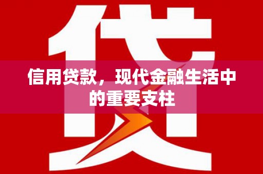 刚察信用贷款，现代金融生活中的重要支柱