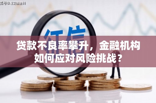 刚察贷款不良率攀升，金融机构如何应对风险挑战？