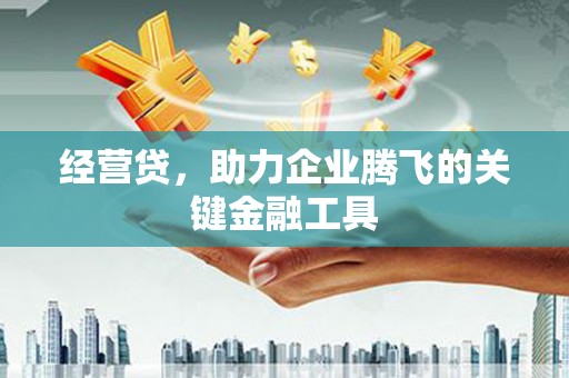 刚察经营贷，助力企业腾飞的关键金融工具