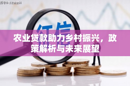 刚察农业贷款助力乡村振兴，政策解析与未来展望