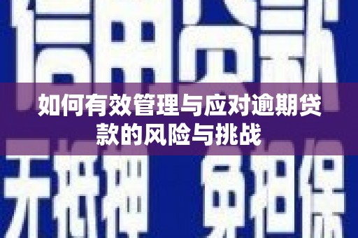刚察如何有效管理与应对逾期贷款的风险与挑战