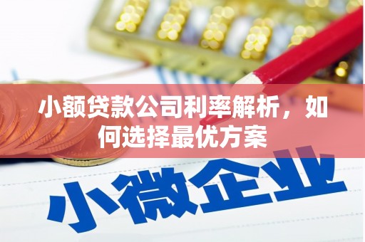 刚察小额贷款公司利率解析，如何选择最优方案