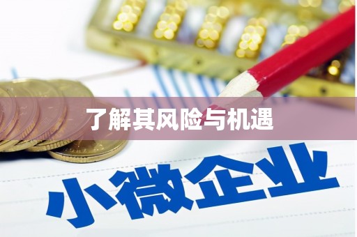 刚察了解其风险与机遇