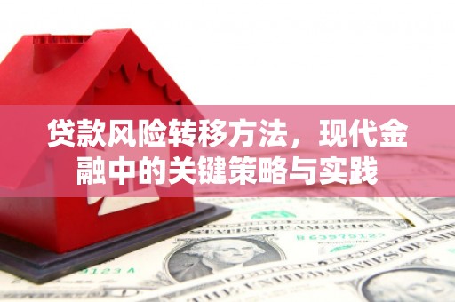 刚察贷款风险转移方法，现代金融中的关键策略与实践