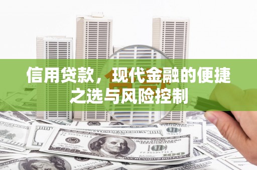 刚察信用贷款，现代金融的便捷之选与风险控制