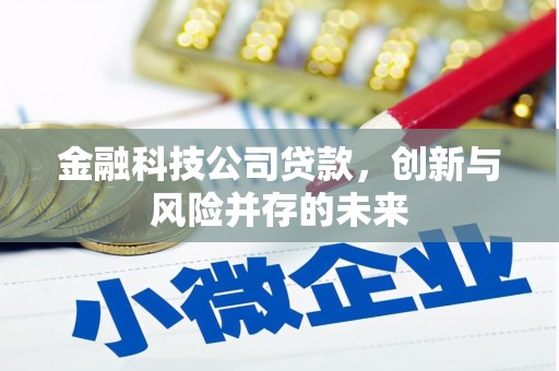 刚察金融科技公司贷款，创新与风险并存的未来
