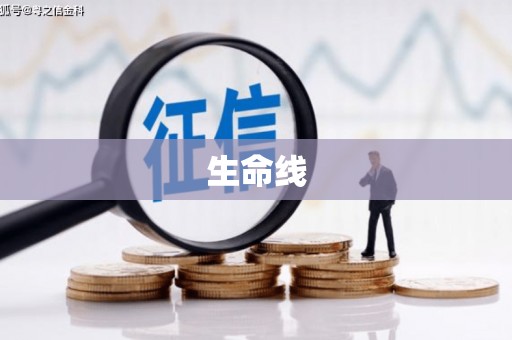 刚察生命线