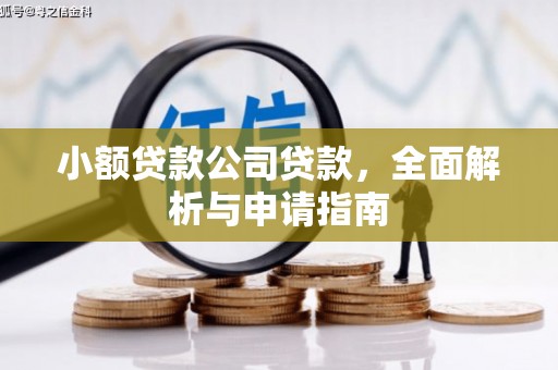 刚察小额贷款公司贷款，全面解析与申请指南