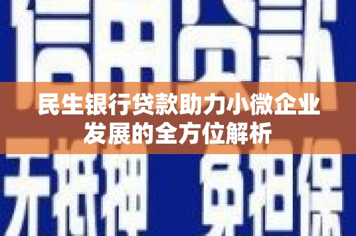 刚察民生银行贷款助力小微企业发展的全方位解析