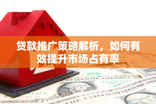 刚察贷款推广策略解析，如何有效提升市场占有率