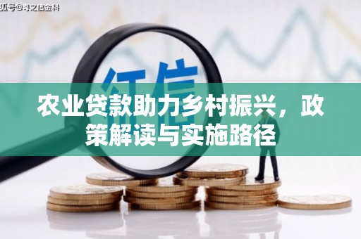 刚察农业贷款助力乡村振兴，政策解读与实施路径