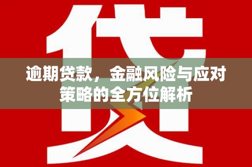 刚察逾期贷款，金融风险与应对策略的全方位解析