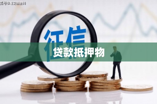 刚察贷款抵押物